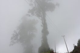 Kabur Kata Dalam Asa !