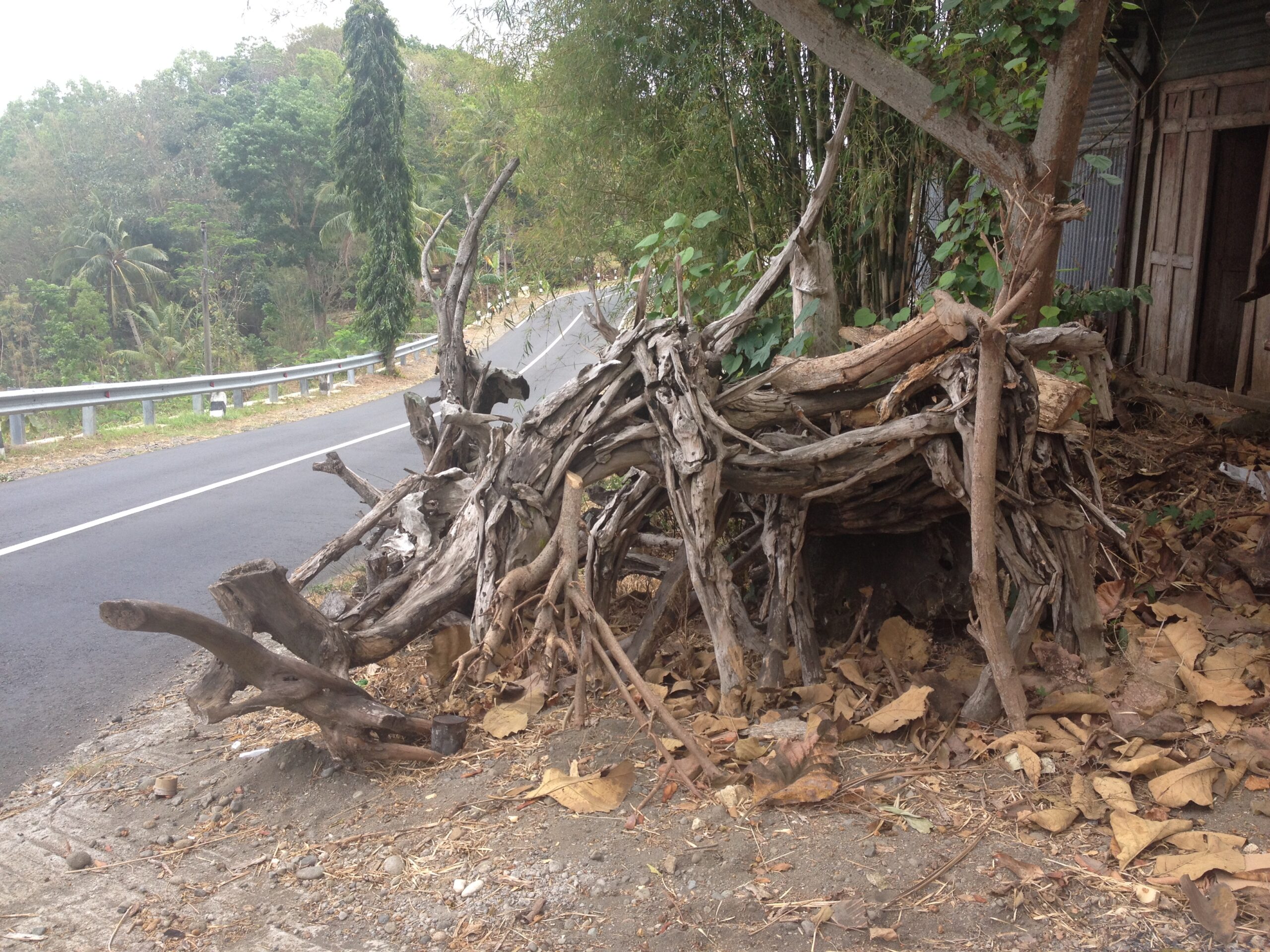 Kebakhilan