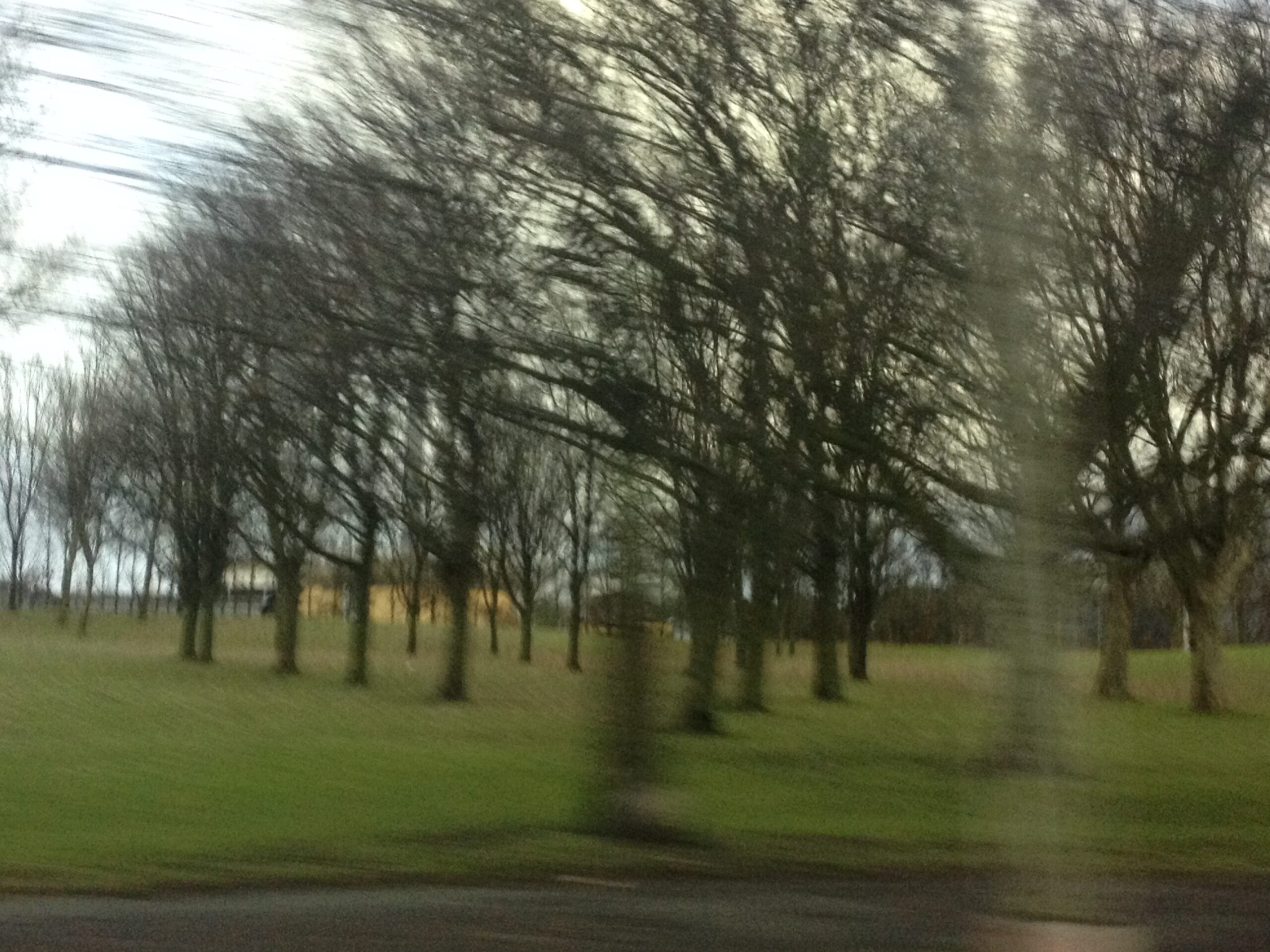 Teeuw 1921-2012