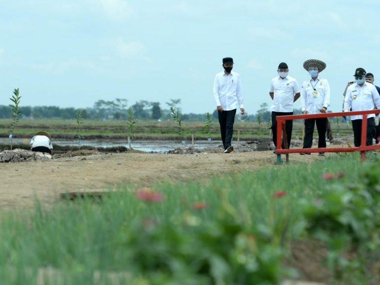 Presiden Ri: Kembangkan Pertanian Berlanjut
