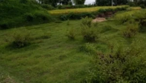 Negeri Ku &Amp; Negeri Mu