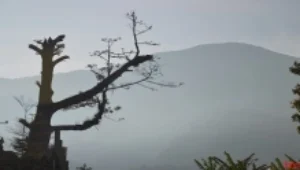 Merasakan Dingin Udara Dan Bukan Asap Udara.jpg