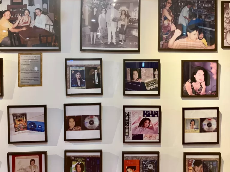 The Story Of Teresa Teng