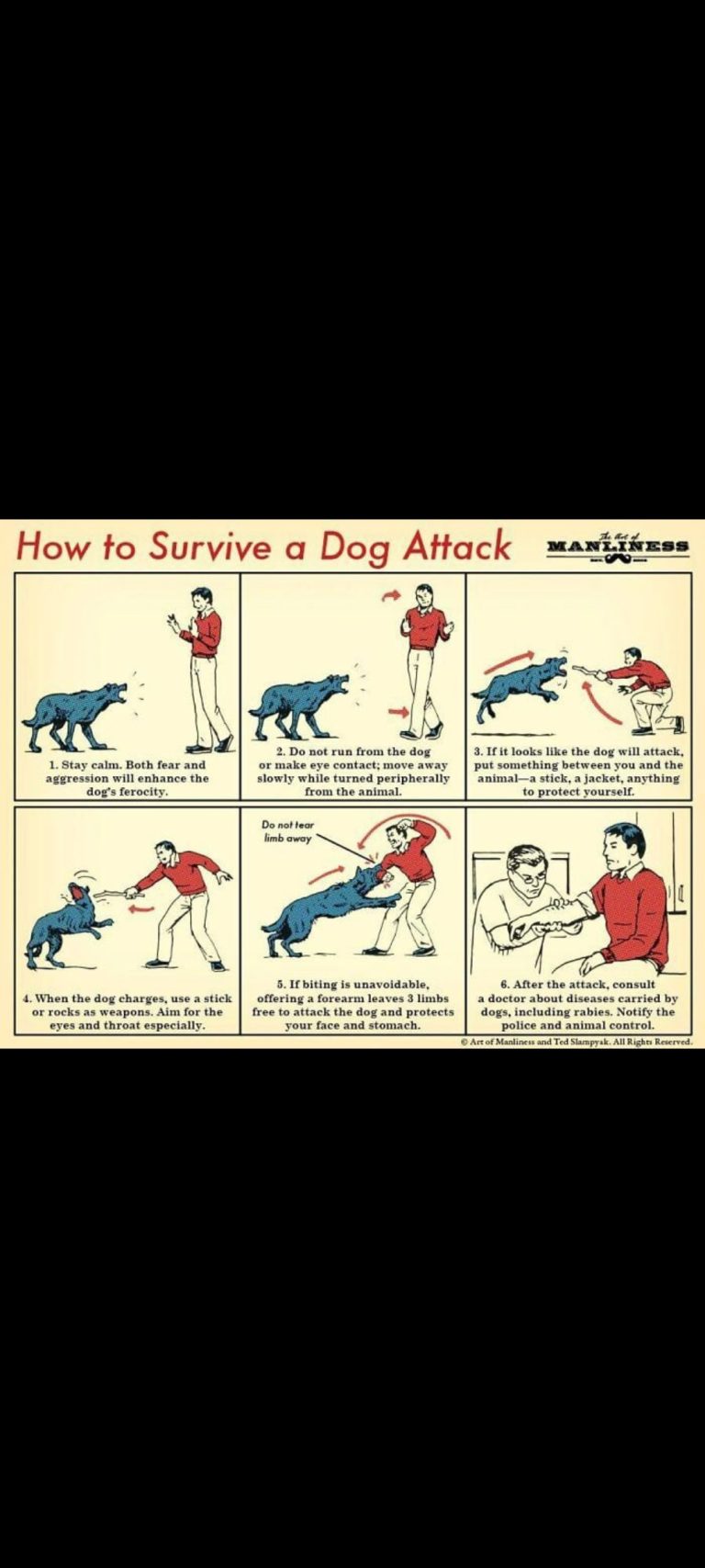 Cara Bertahan Hidup Dari Serangan Anjing