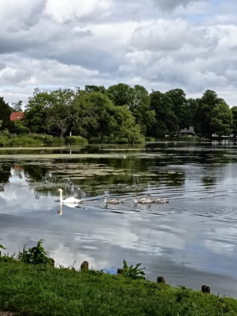 Wisata Danau Denmark 2
