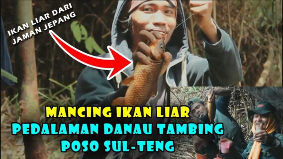 Mancing Ikan Liar Dipedalaman Hutan Lorelindu Danau Tambing Sisa Tambang Emas Dijaman Jepang Part 3 Scaled
