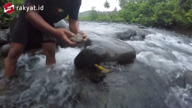 Mancing Ikan Sogili